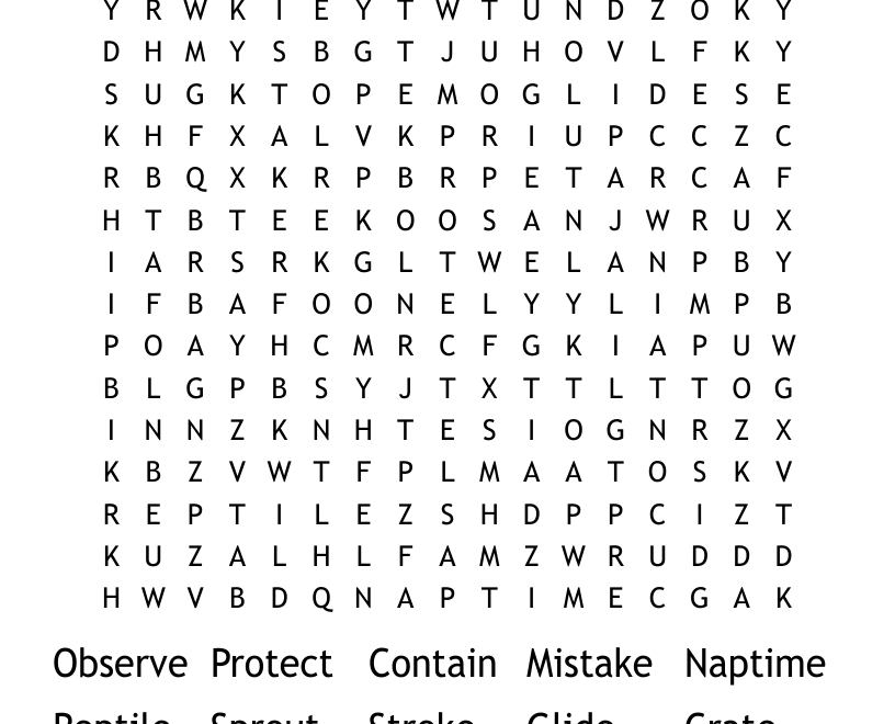 Puzzle Maker Word Search WordMint