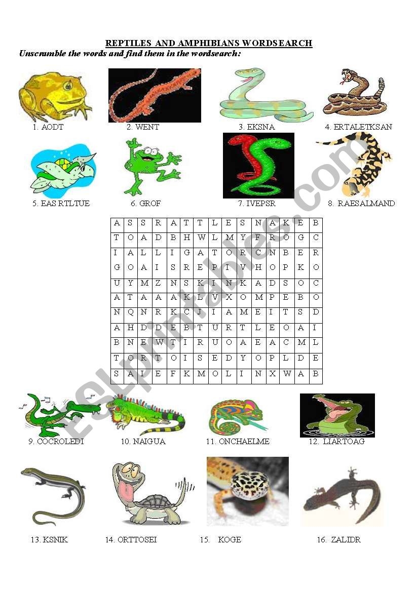 Reptile Word Search Printable