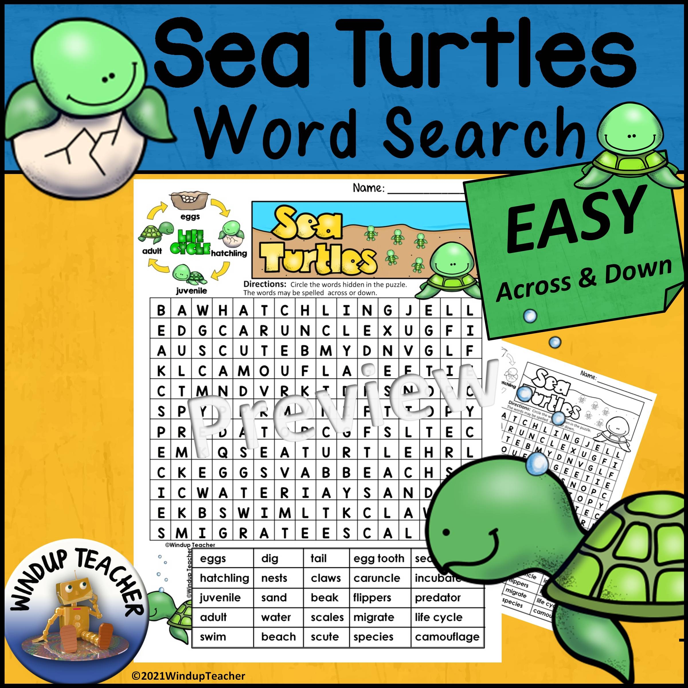 Sea Turtle Life Cycle Word Search EASY Puzzle Made By Teachers