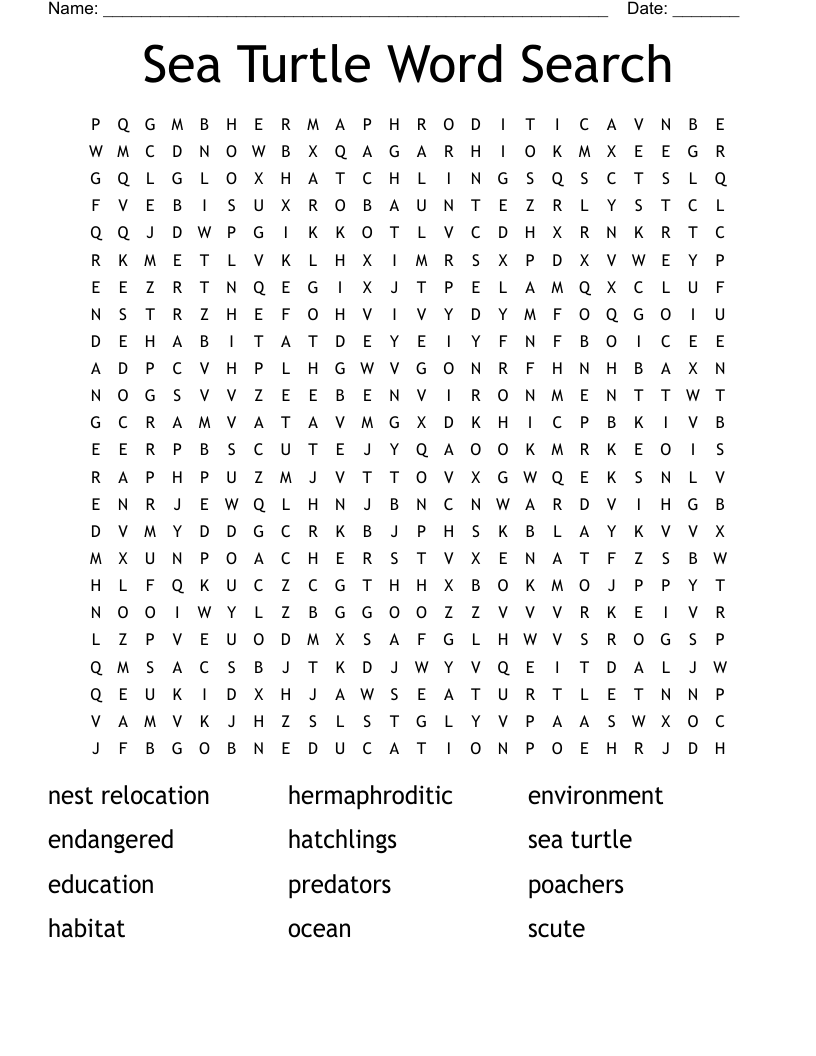 Sea Turtle Word Search WordMint