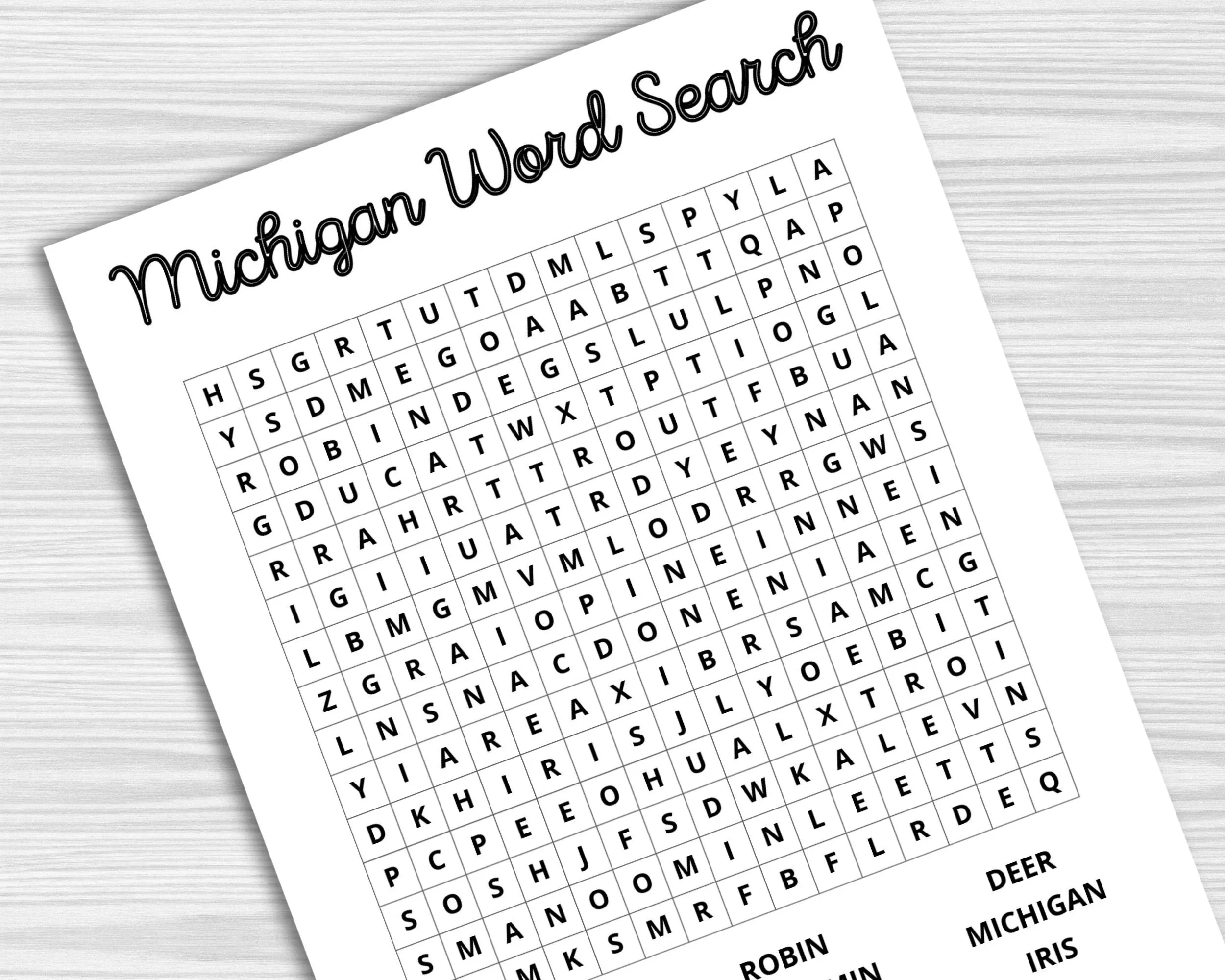 Set Of 5 Michigan Worksheets State Of Michigan Printable Word Search 4th Grade Worksheet Etsy
