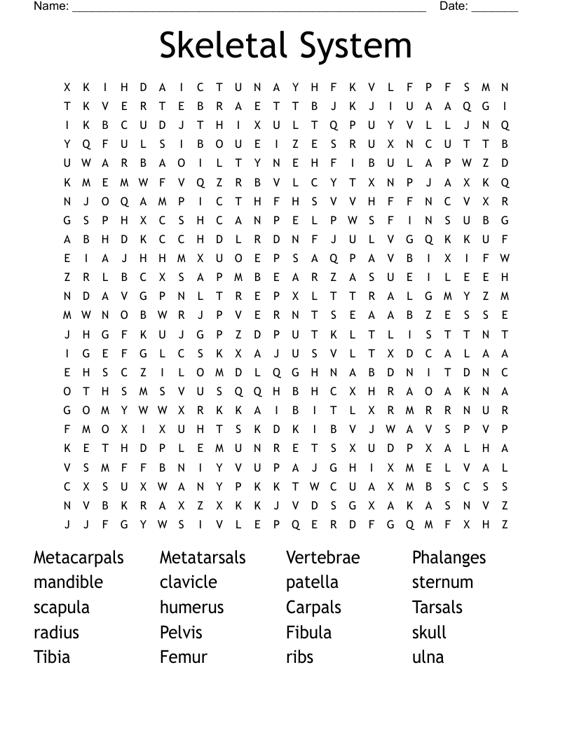 Skeletal System Word Search WordMint