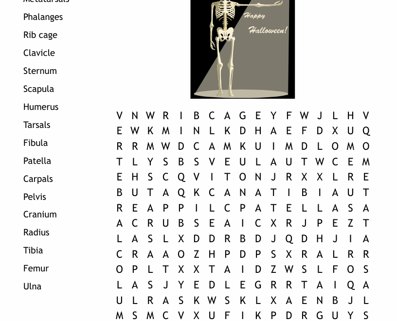 Skeletal System Word Search WordMint