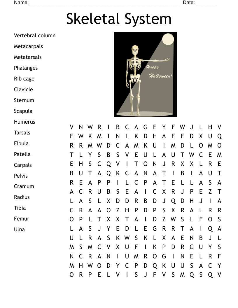 Skeletal System Word Search WordMint