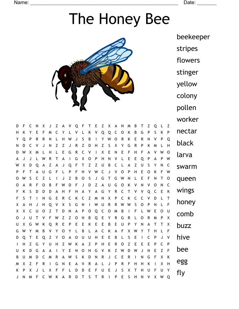 Speling Words Word Search WordMint