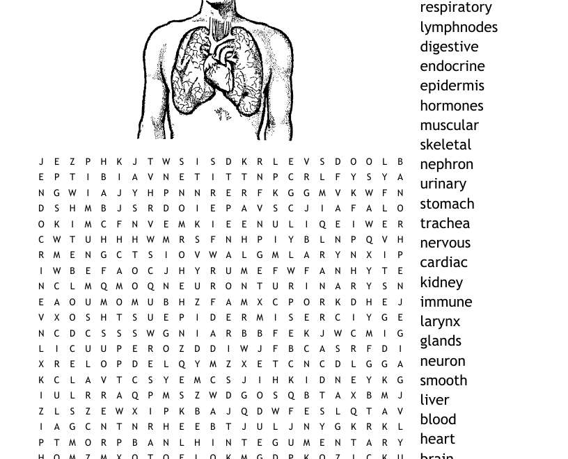 The Body Systems Word Search WordMint
