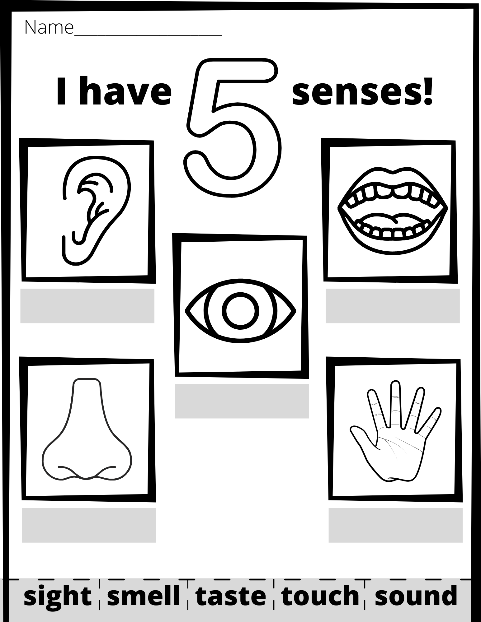 the five senses activities mat create