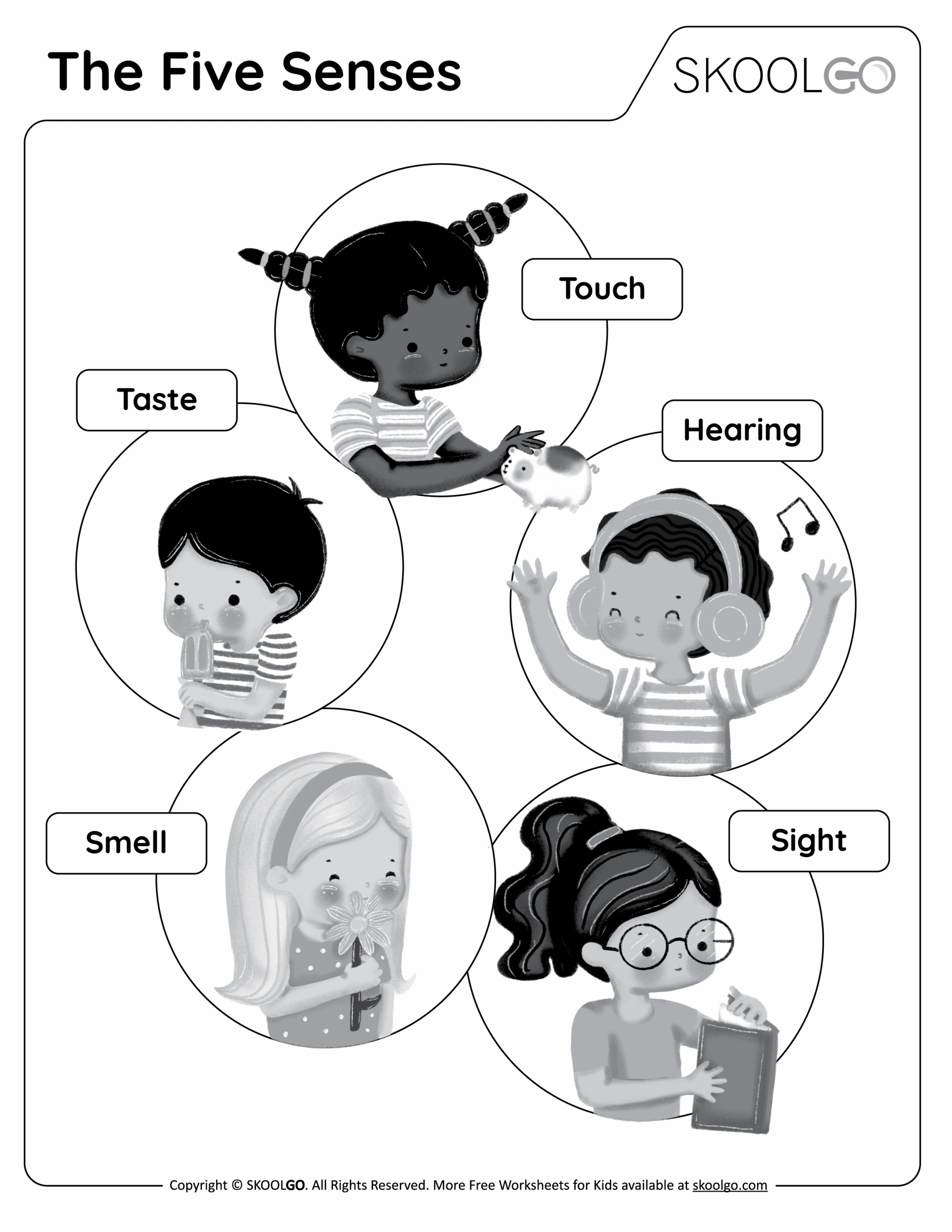 the five senses free worksheet skoolgo