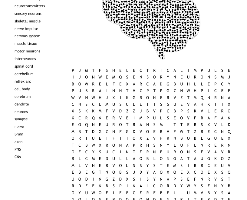 The Nervous System Word Search WordMint