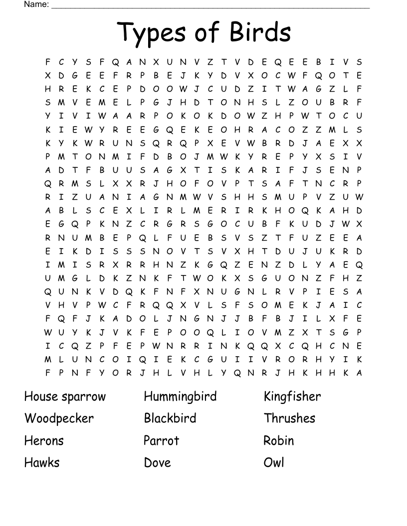 Types Of Birds Word Search WordMint