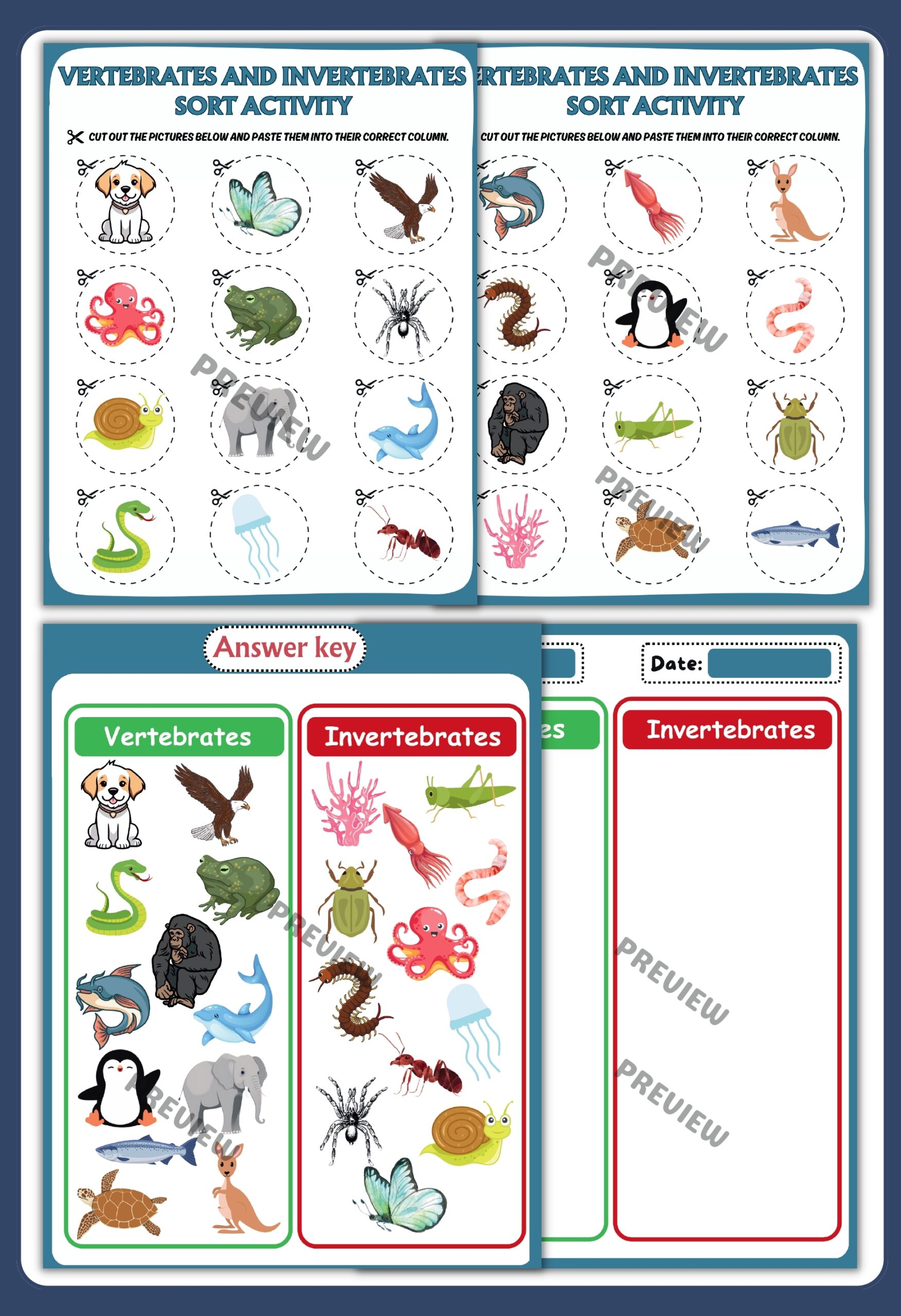 vertebrates and invertebrates sorting activity cut and paste science worksheet for kids ks1 ks2 teaching resources