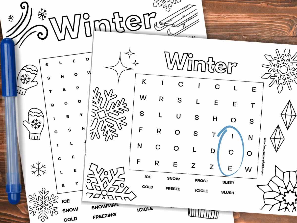 Winter Word Searches Nature Inspired Learning