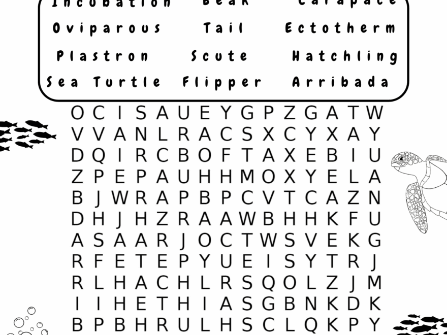 Word Search SeaTurtleWeek