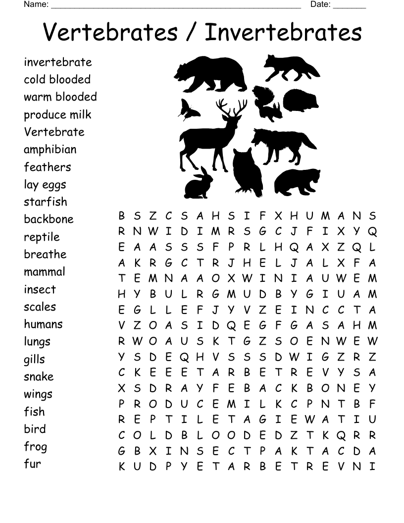 Vertebrates Invertebrates Word Search WordMint