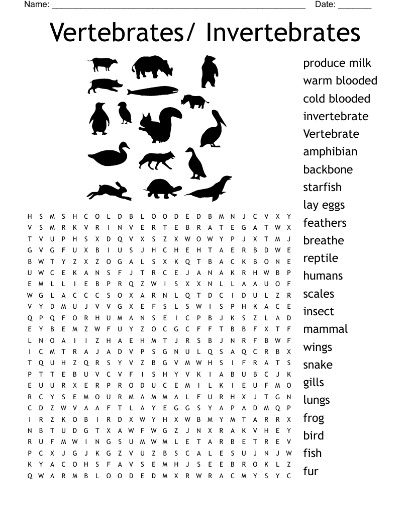 Vertebrates Invertebrates Word Search WordMint